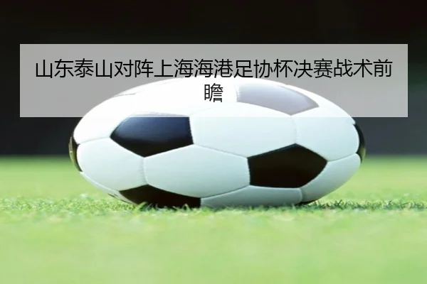 山东泰山对阵上海海港足协杯决赛战术前瞻